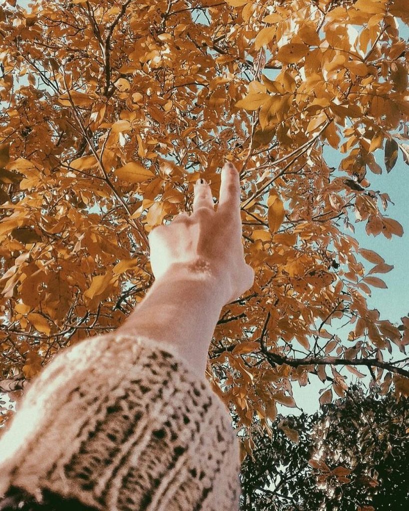 hand halloween wallpaper